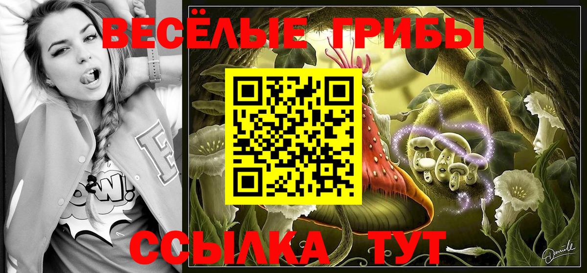 Псилоцибиновые грибы мухоморы  Вход с VPN  Псилоцибиновые грибы Cubensis  купить наркоту  Чернушка 